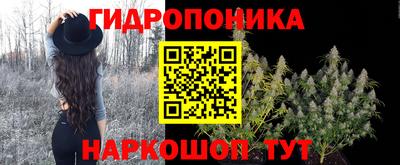 ГАЛЛЮЦИНОГЕННЫЕ ГРИБЫ Пушкино