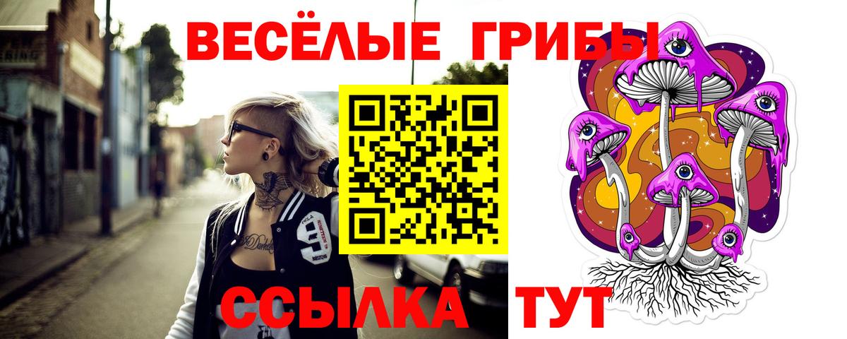 Рубцовск  Галлюциногенные грибы ЛСД  Вход с VPN 